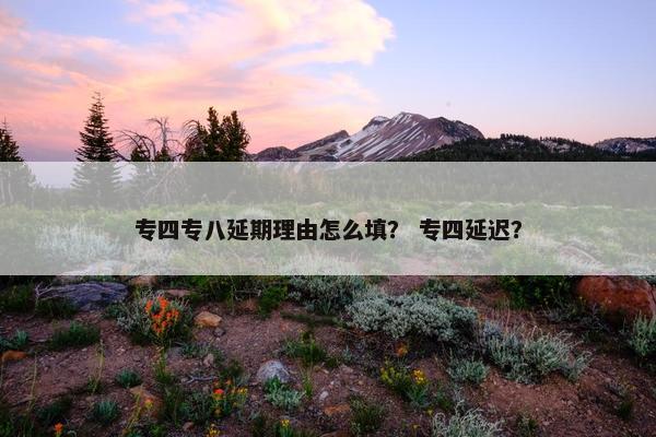 专四专八延期理由怎么填？ 专四延迟？