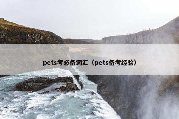 pets考必备词汇（pets备考经验）