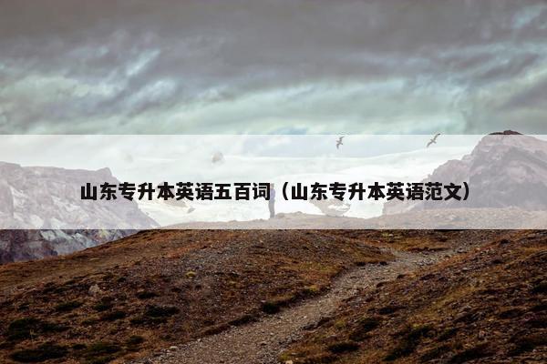 山东专升本英语五百词（山东专升本英语范文）