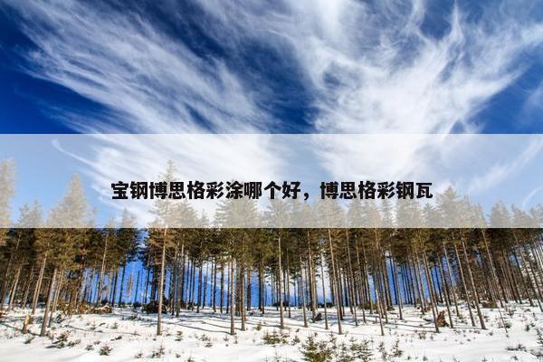 宝钢博思格彩涂哪个好，博思格彩钢瓦