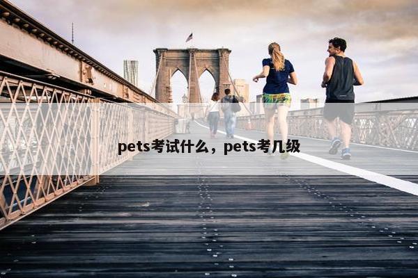 pets考试什么，pets考几级