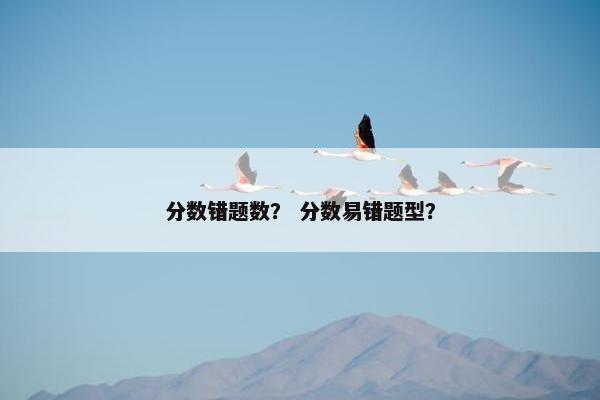 分数错题数？ 分数易错题型？