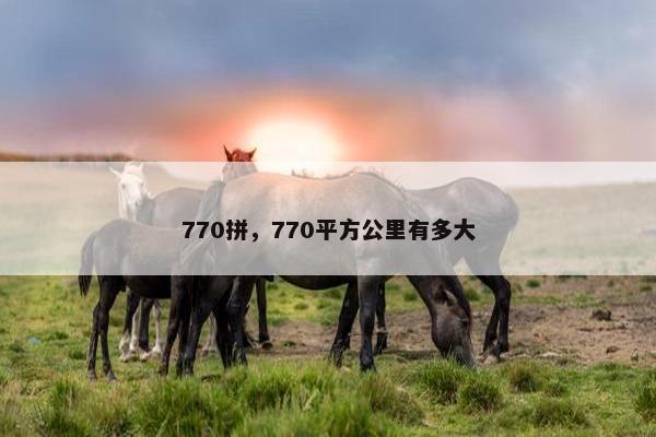 770拼，770平方公里有多大