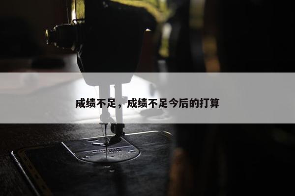 成绩不足，成绩不足今后的打算