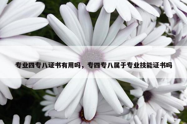 专业四专八证书有用吗，专四专八属于专业技能证书吗