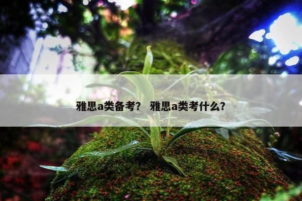 雅思a类备考？ 雅思a类考什么？