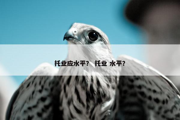 托业应水平？ 托业 水平？