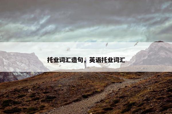 托业词汇造句，英语托业词汇