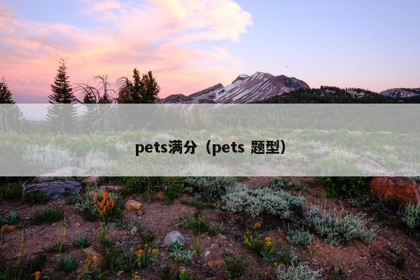 pets满分（pets 题型）