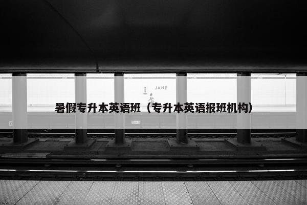 暑假专升本英语班（专升本英语报班机构）