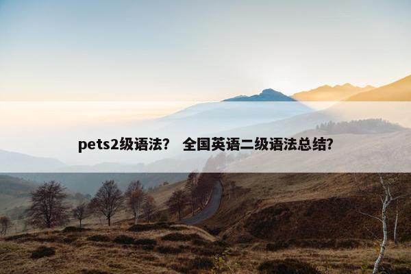 pets2级语法？ 全国英语二级语法总结？