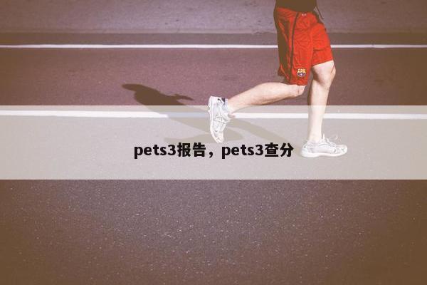 pets3报告，pets3查分