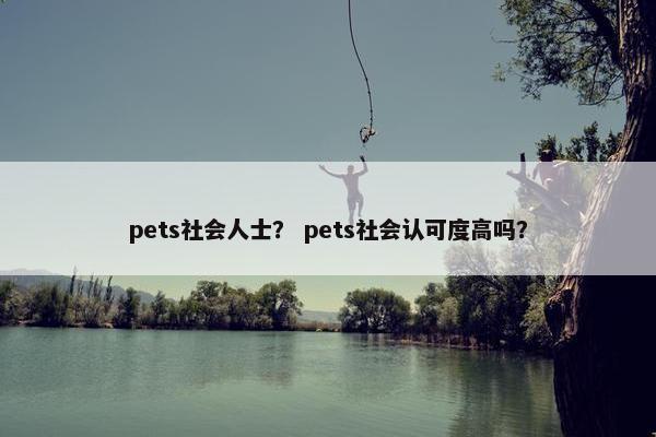pets社会人士？ pets社会认可度高吗？