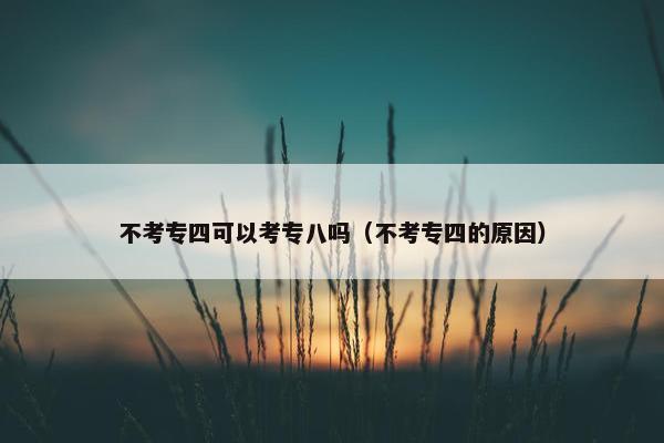 不考专四可以考专八吗（不考专四的原因）