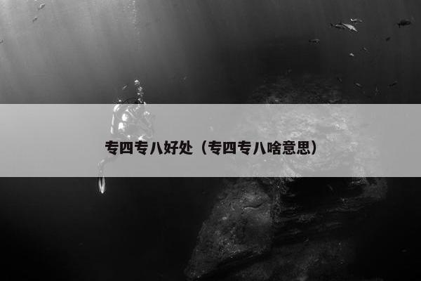 专四专八好处（专四专八啥意思）