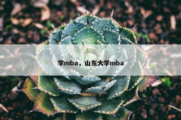学mba，山东大学mba