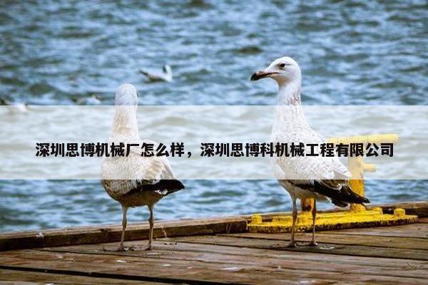 深圳思博机械厂怎么样，深圳思博科机械工程有限公司