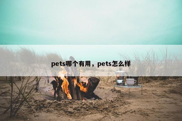 pets哪个有用，pets怎么样