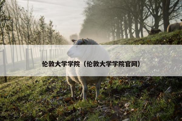 伦敦大学学院（伦敦大学学院官网）