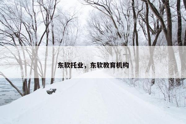 东软托业，东软教育机构