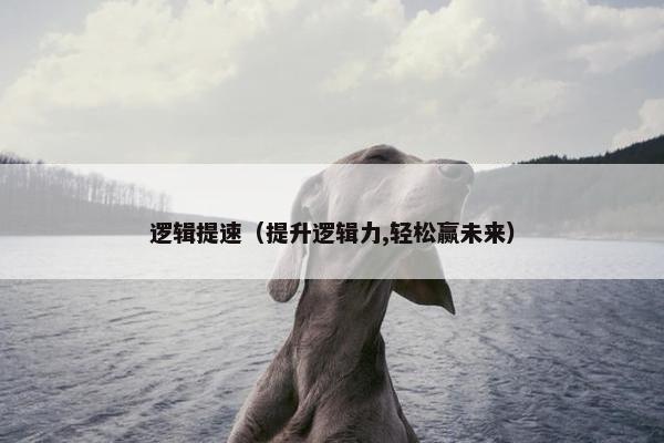 逻辑提速（提升逻辑力,轻松赢未来）