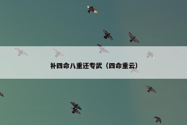 补四命八重还专武（四命重云）