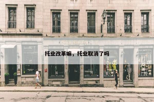 托业改革嘛，托业取消了吗