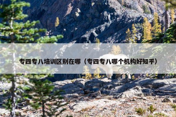 专四专八培训区别在哪（专四专八哪个机构好知乎）