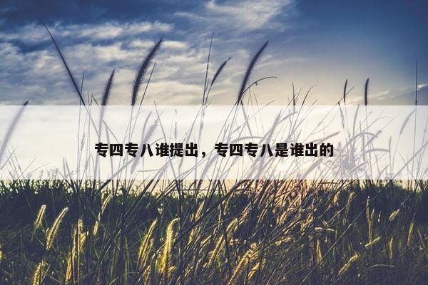 专四专八谁提出，专四专八是谁出的