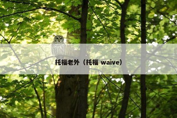 托福老外（托福 waive）