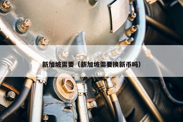新加坡需要（新加坡需要换新币吗）