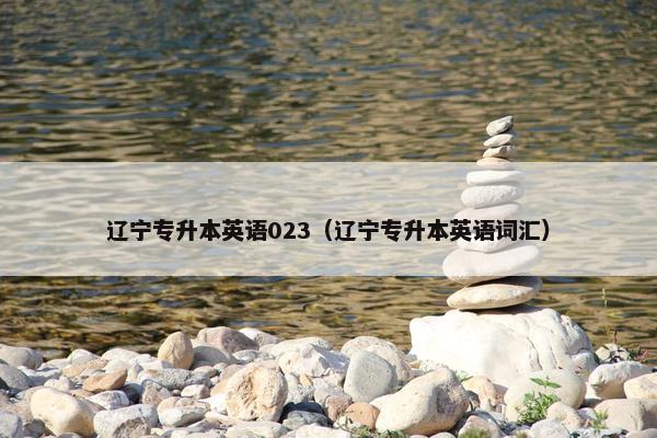 辽宁专升本英语023（辽宁专升本英语词汇）