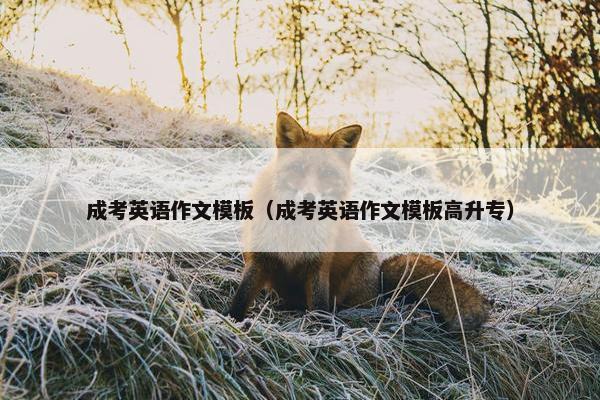 成考英语作文模板（成考英语作文模板高升专）