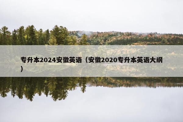 专升本2024安徽英语（安徽2020专升本英语大纲）