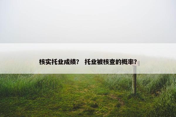 核实托业成绩？ 托业被核查的概率？