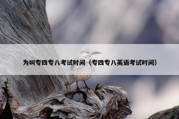为叫专四专八考试时间（专四专八英语考试时间）