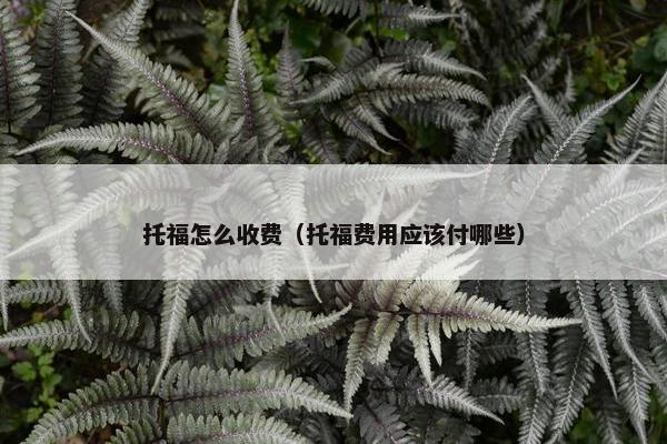 托福怎么收费（托福费用应该付哪些）
