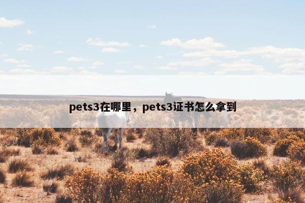 pets3在哪里，pets3证书怎么拿到