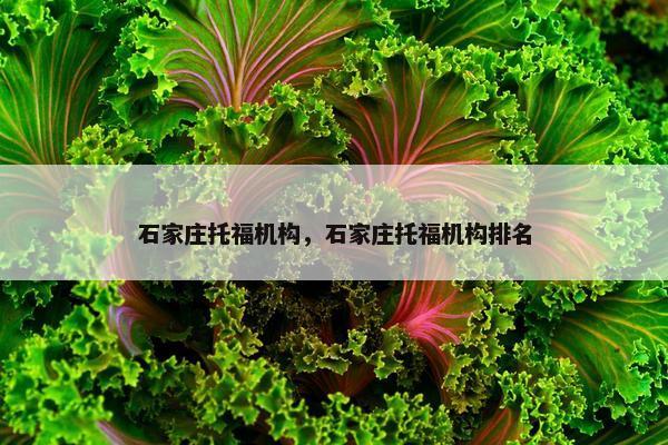 石家庄托福机构，石家庄托福机构排名