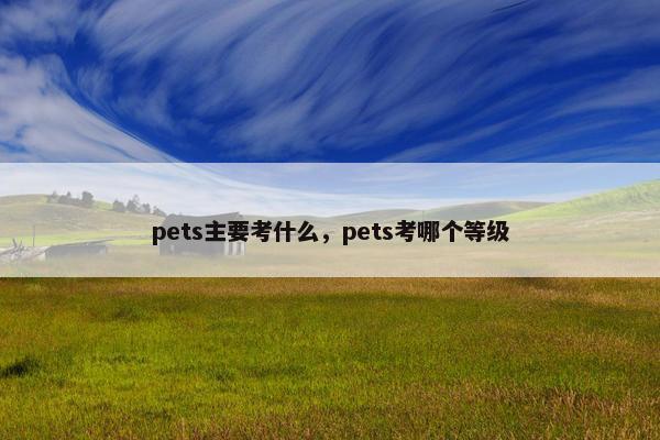 pets主要考什么，pets考哪个等级