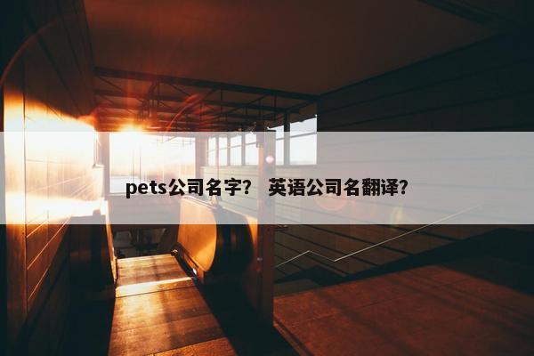 pets公司名字？ 英语公司名翻译？