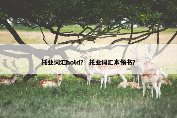 托业词汇hold？ 托业词汇本领书？
