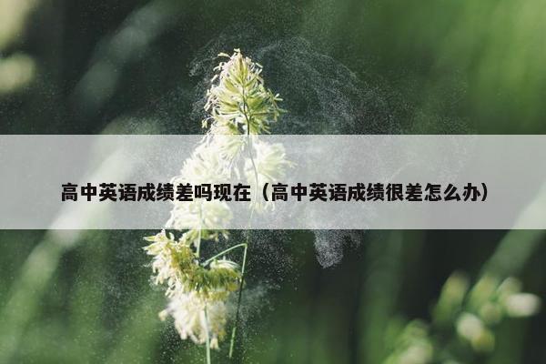 高中英语成绩差吗现在（高中英语成绩很差怎么办）