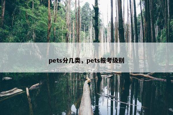 pets分几类，pets报考级别