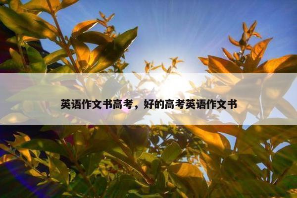 英语作文书高考，好的高考英语作文书