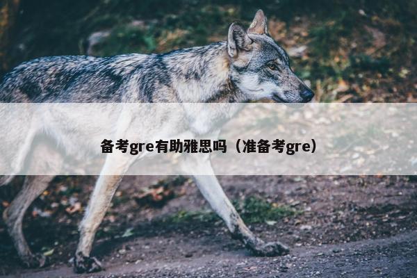 备考gre有助雅思吗（准备考gre）