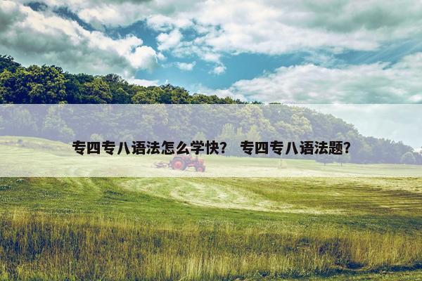 专四专八语法怎么学快？ 专四专八语法题？