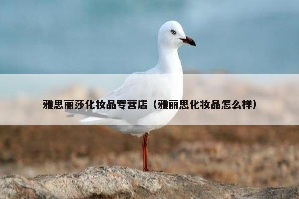 雅思丽莎化妆品专营店（雅丽思化妆品怎么样）