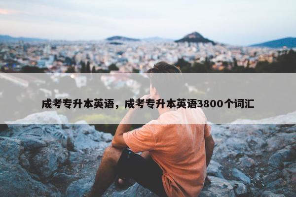 成考专升本英语，成考专升本英语3800个词汇