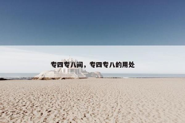 专四专八间，专四专八的用处